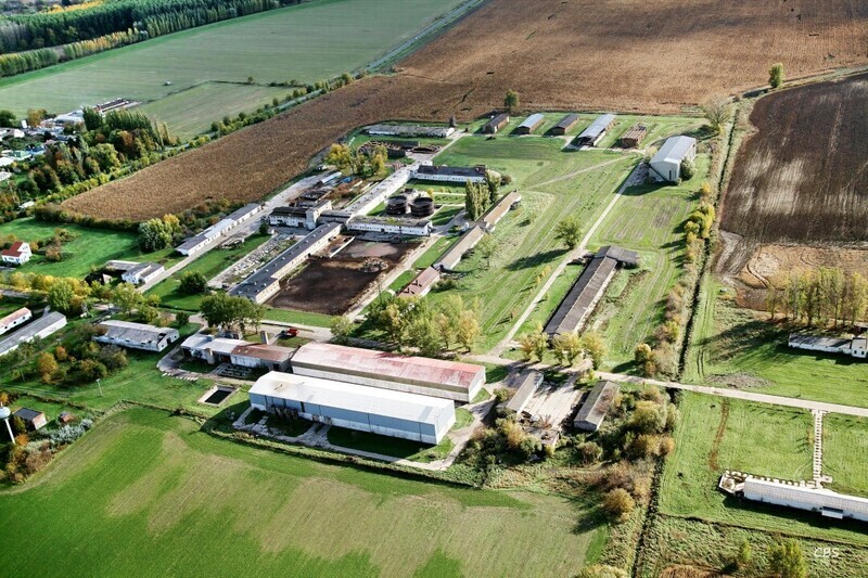 Dedina-Mladeze-2013-6