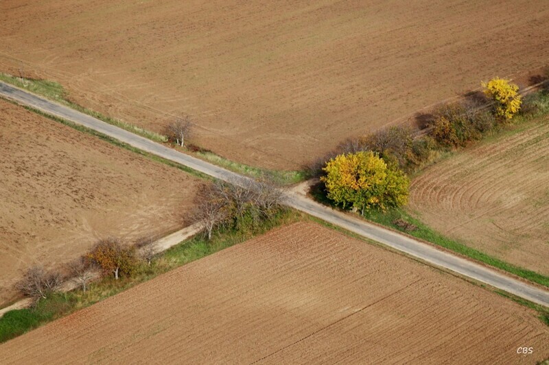 Radvan-nad-Dunajom-2013-25