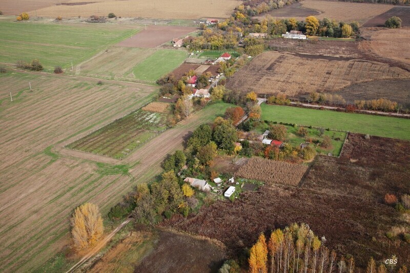 Radvan-nad-Dunajom-2013-26