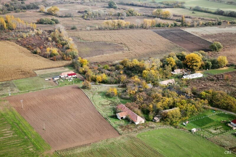 Radvan-nad-Dunajom-2013-28