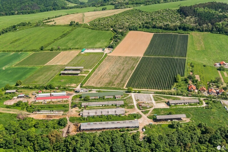 Tekovska-Breznica-2018-16
