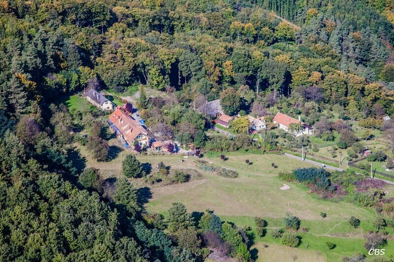 Orovnica-2014-jesen-17