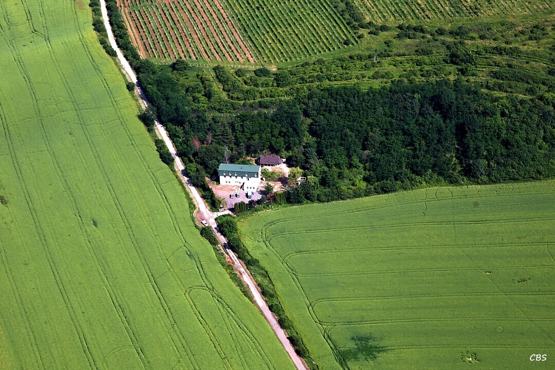 Hronsky-Benadik-2013-16