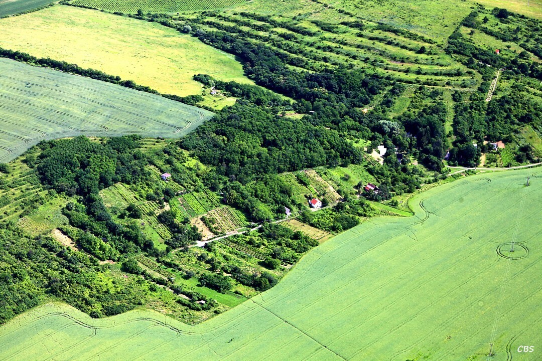 Hronsky-Benadik-2013-17