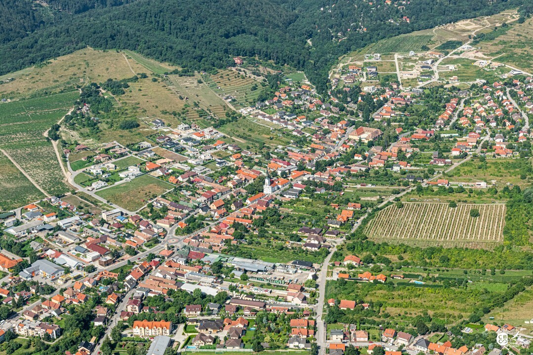 Limbach-2019-8