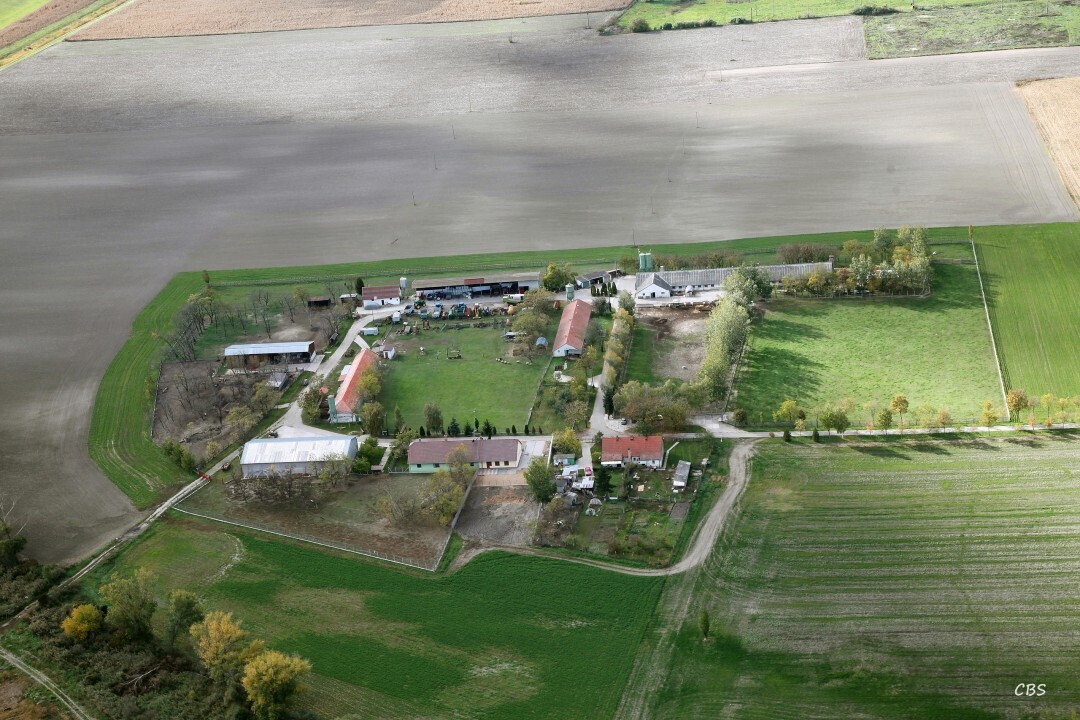Klizska-Nema-2013