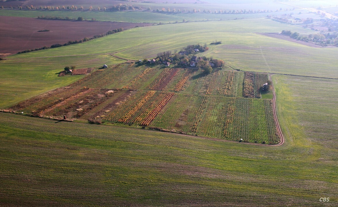 Hontianska-Vrbica-2013-14