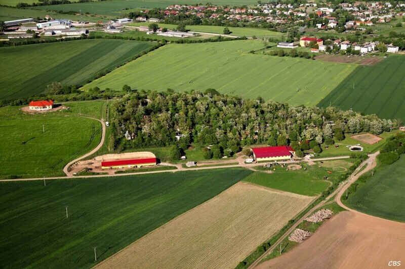 Ipelsky-Sokolec-2014