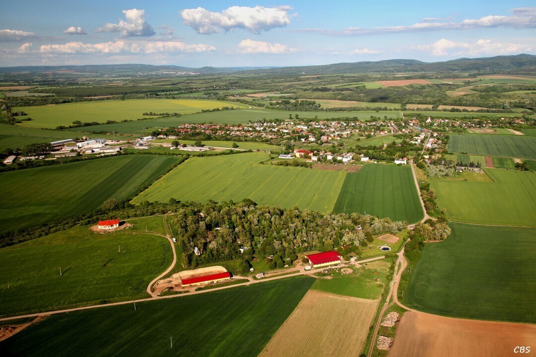 Ipelsky-Sokolec-2014-1