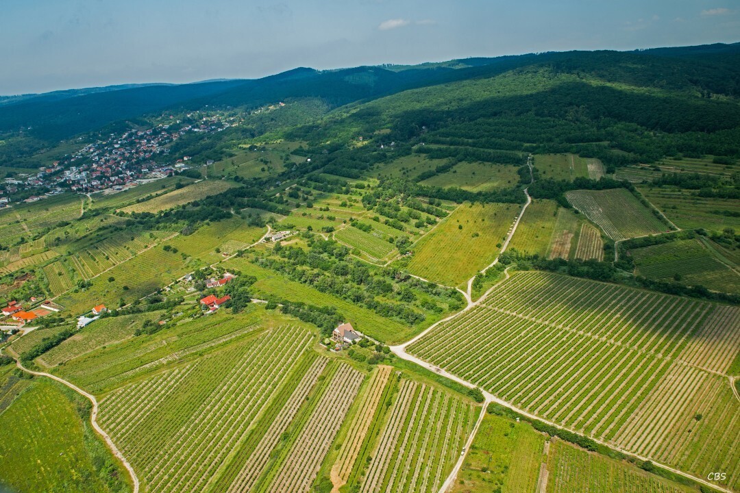 Bratislava-Raca-2016-28