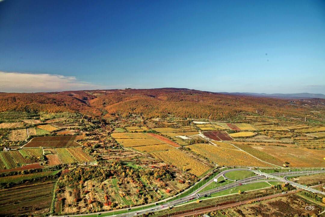 Bratislava-Raca-2013-32