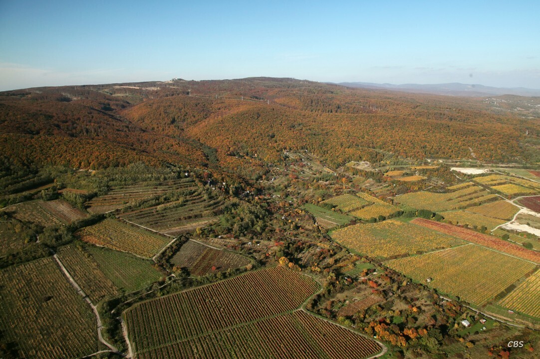 Bratislava-Raca-2013-21