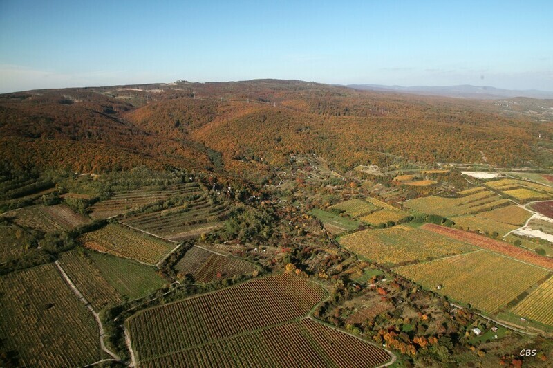 Bratislava-Raca-2013-21