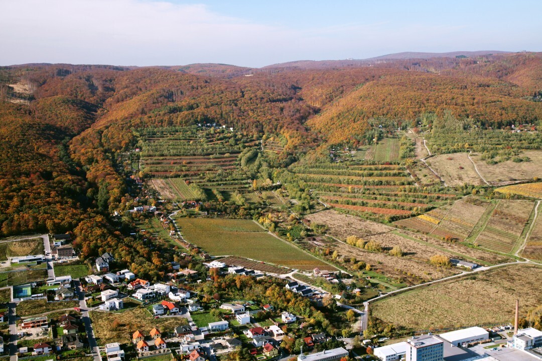 Bratislava-Raca-2013-12