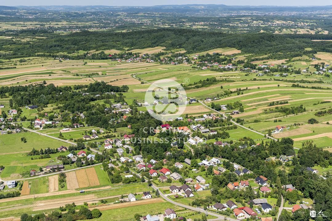 Debowiec_2020__DSC_1195