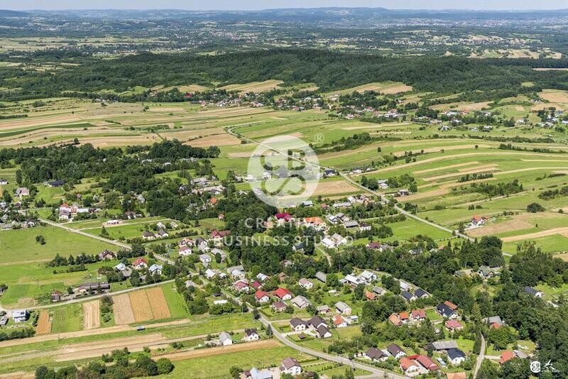 Debowiec_2020__DSC_1195