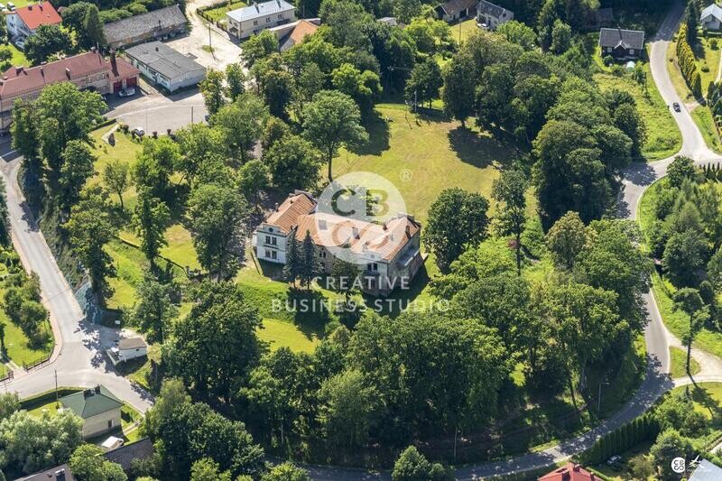 Brzyska_2020_DSC_1604