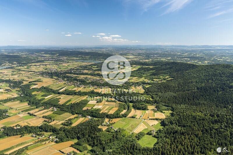 Brzyska_2020_DSC_1576