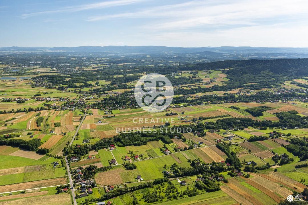 Brzyska_2020_DSC_1596