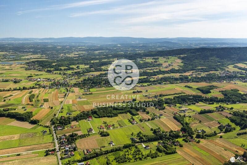 Brzyska_2020_DSC_1596