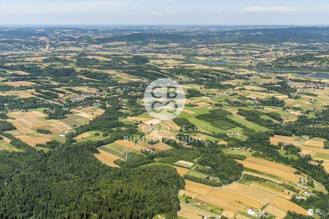 Brzyska_2020_DSC_1572