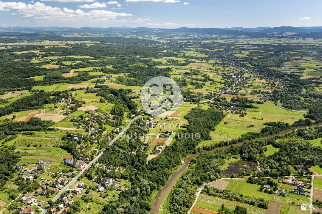 Debowiec_2020__DSC_1222