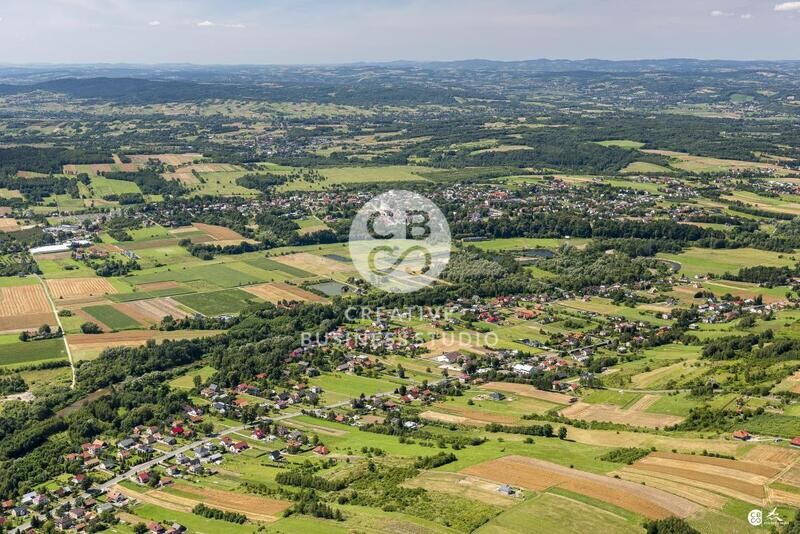 Debowiec_2020__DSC_1235