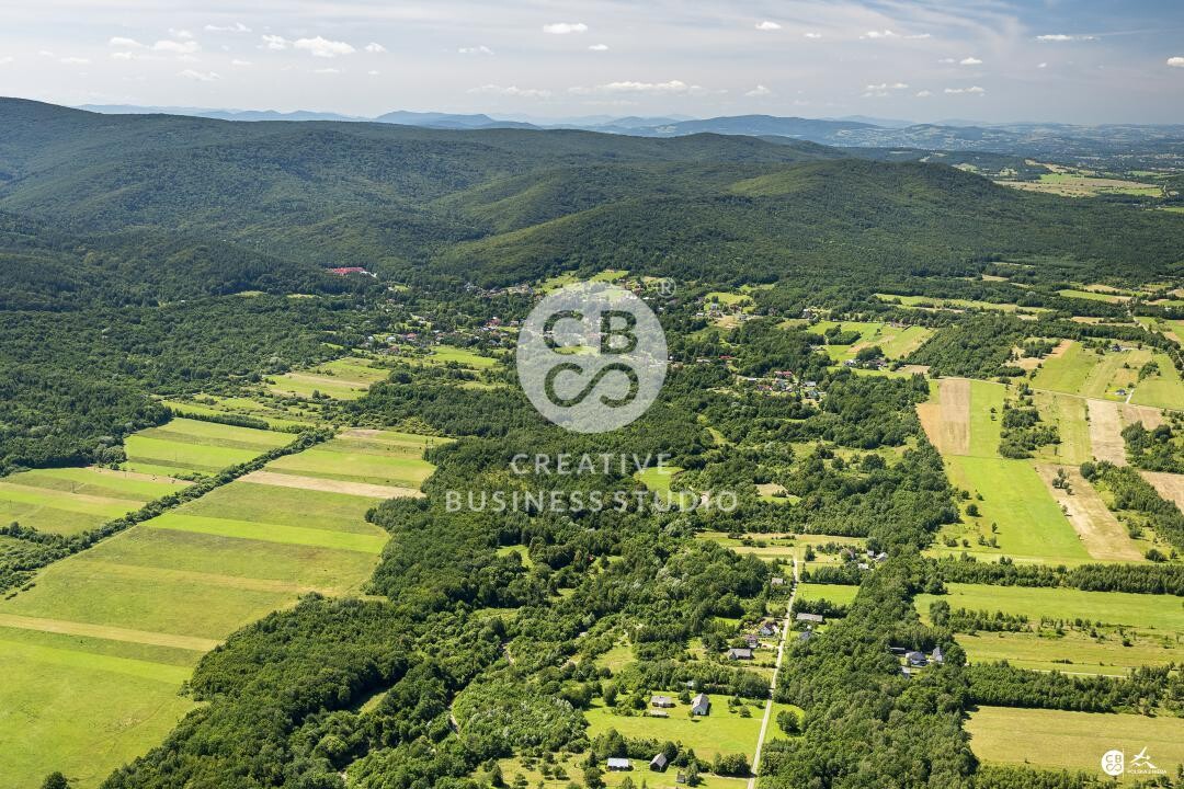 Debowiec_2020__DSC_1163