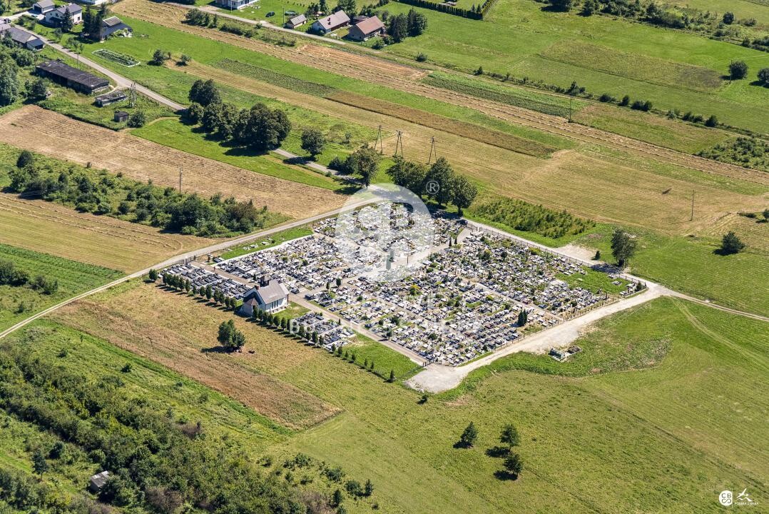 Debowiec_2020__DSC_1188