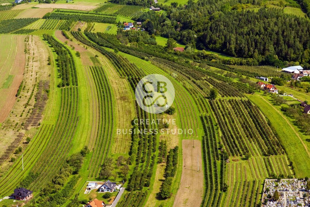 Łącko_CBS_2019_DSC_5982