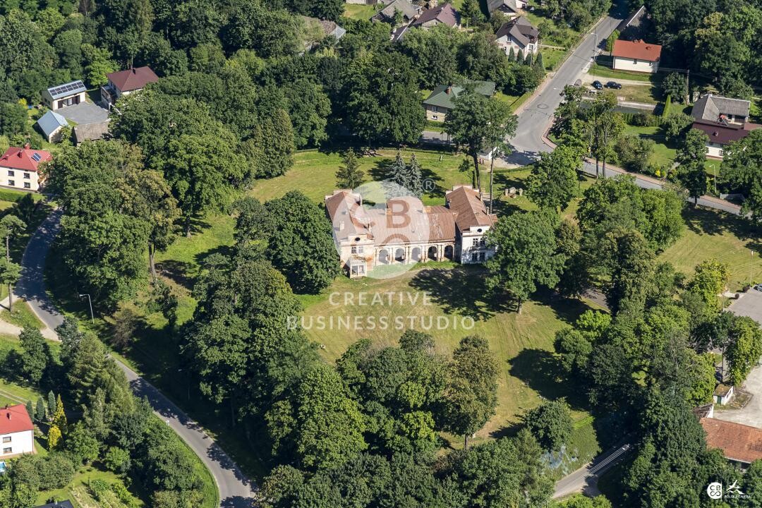 Brzyska_2020_DSC_1623