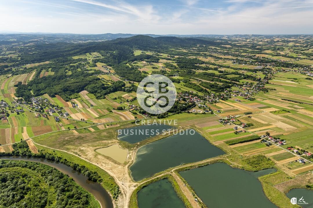 Brzyska_2020_DSC_1529