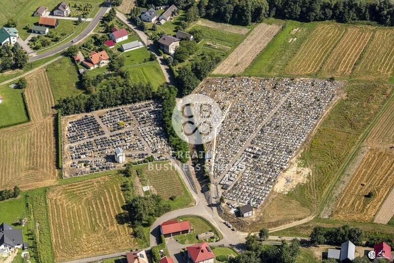 Brzyska_2020_DSC_1616