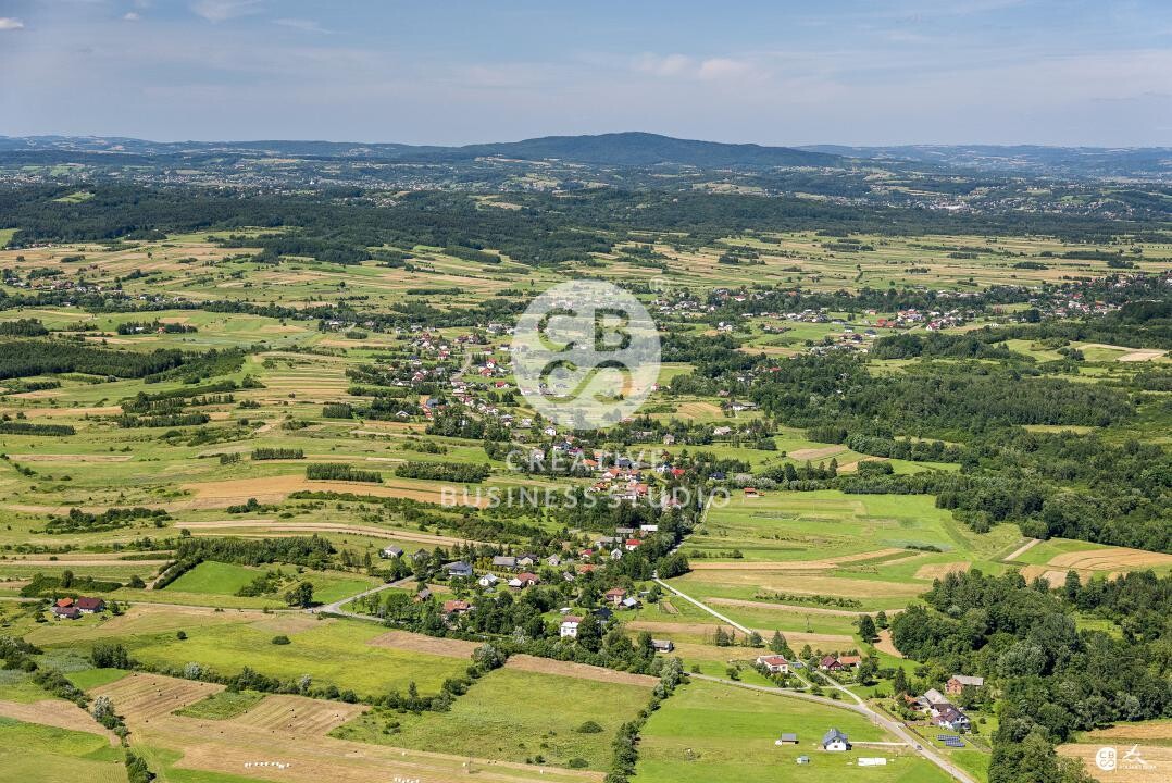 Debowiec_2020__DSC_1197