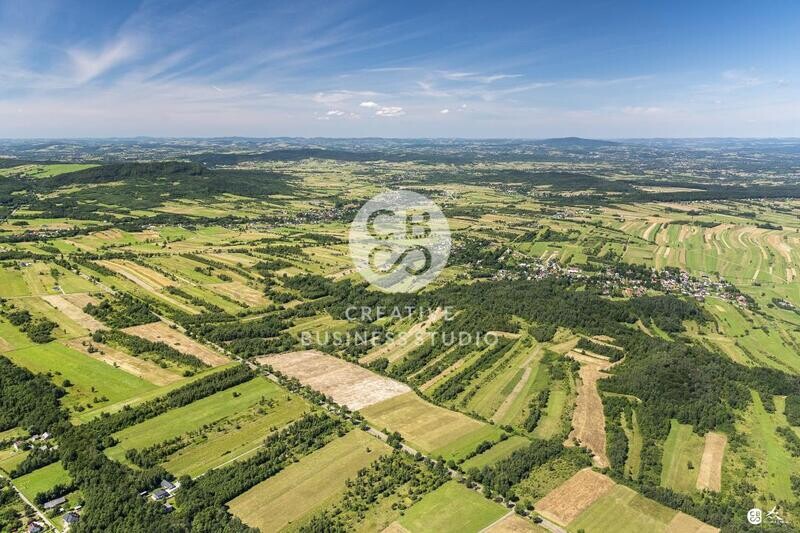 Debowiec_2020__DSC_1165