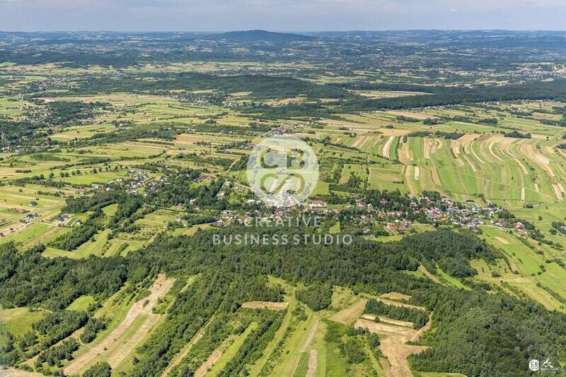 Debowiec_2020__DSC_1167