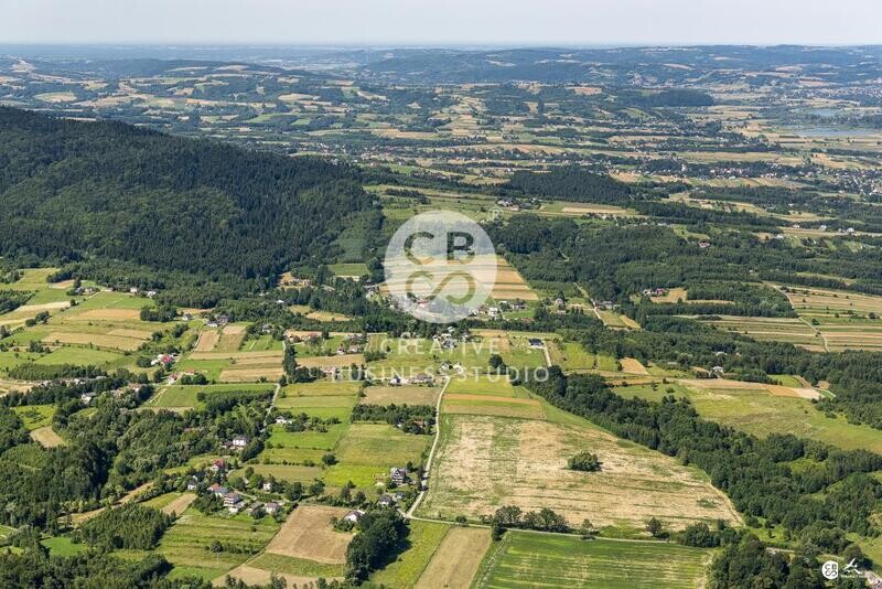 Brzyska_2020_DSC_1555