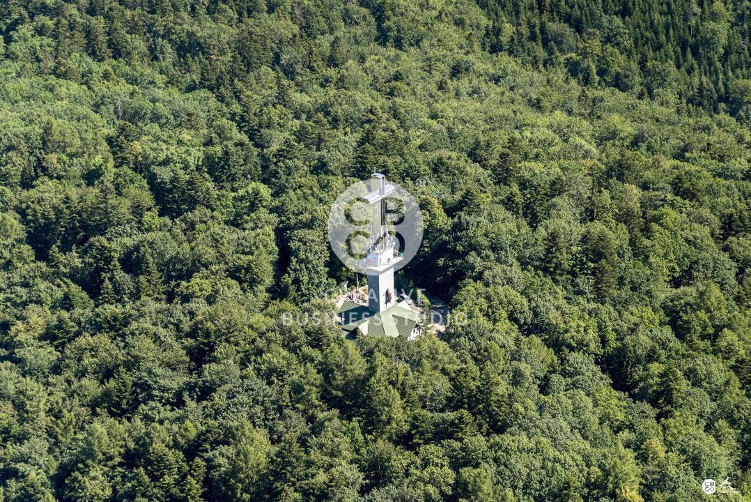 Brzyska_2020_DSC_1570