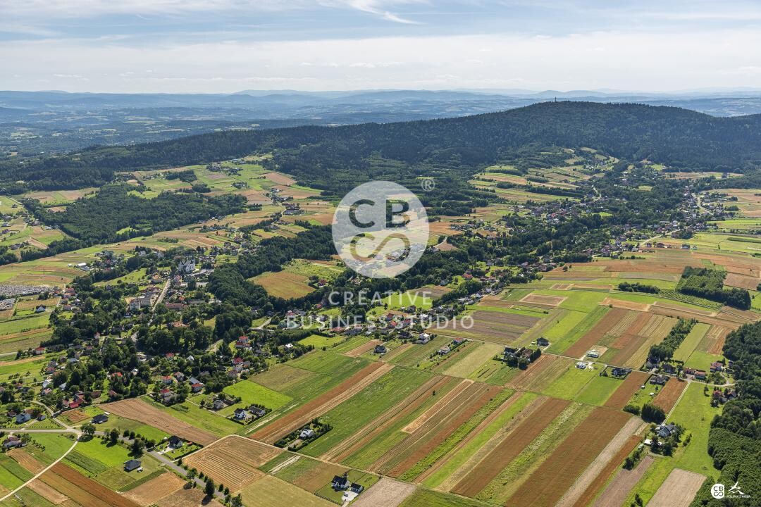 Brzyska_2020_DSC_1601