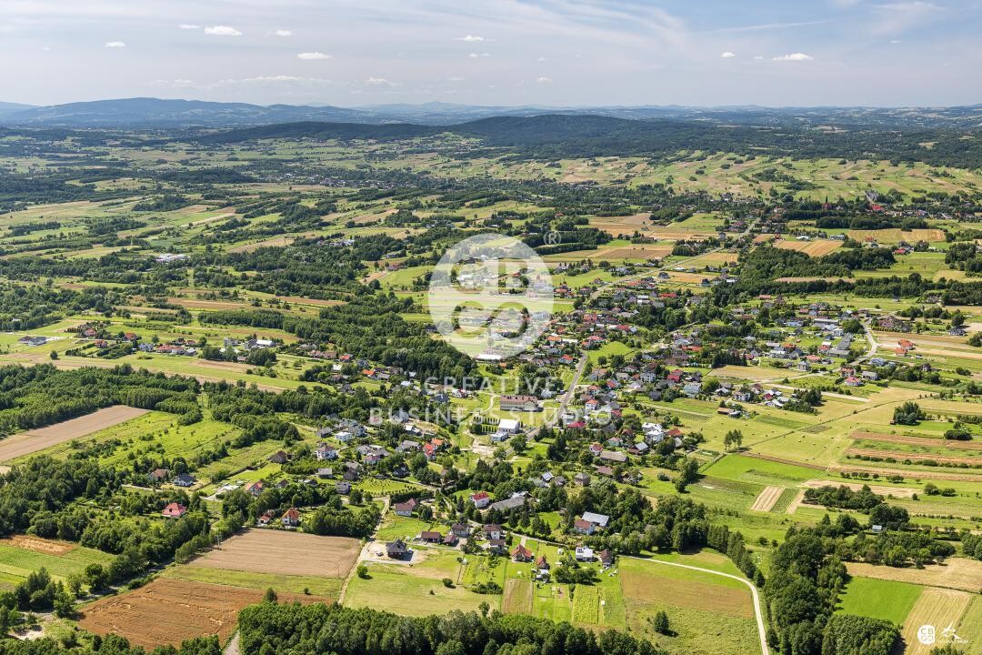 Debowiec_2020__DSC_1212