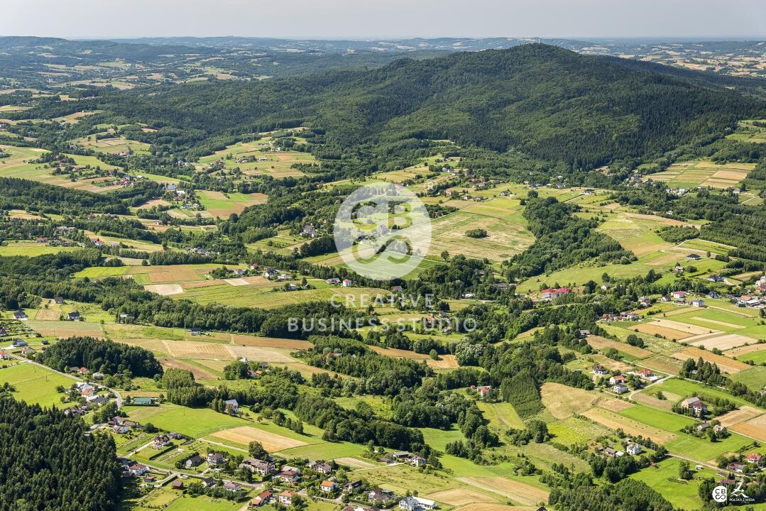 Brzyska_2020_DSC_1549