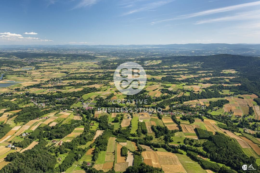 Brzyska_2020_DSC_1580