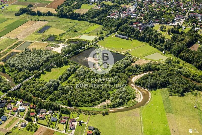 Debowiec_2020__DSC_1225