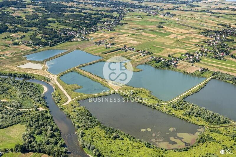 Brzyska_2020_DSC_1534