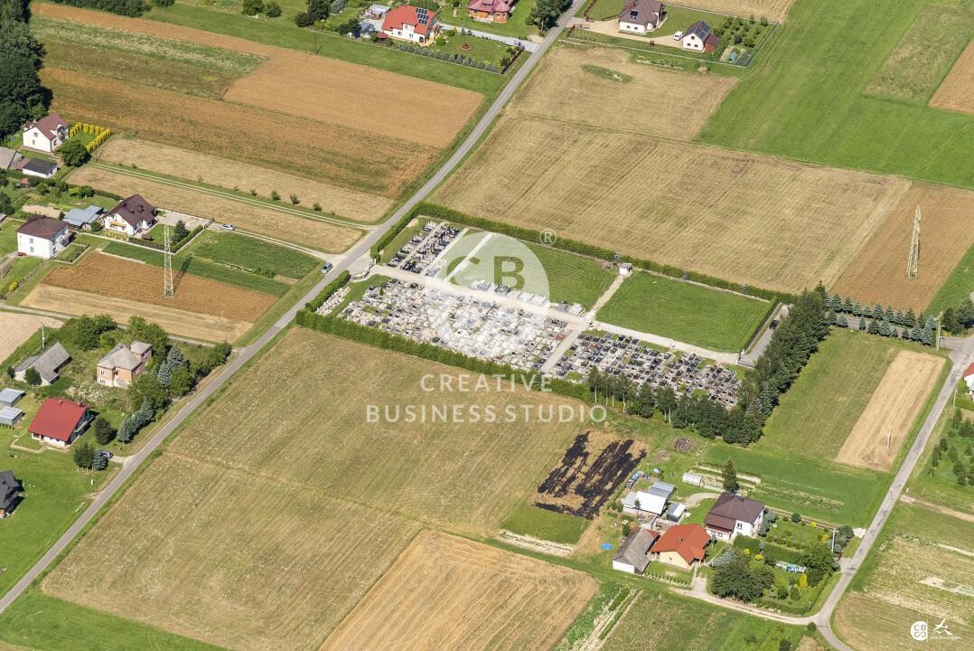 Brzyska_2020_DSC_1551