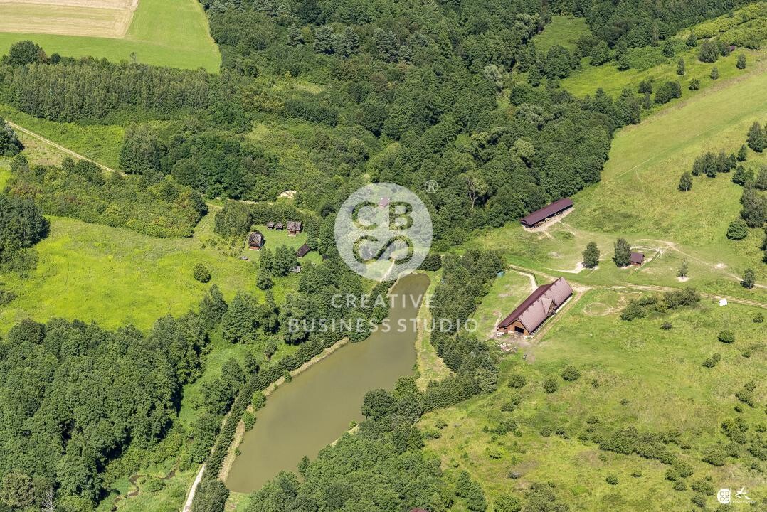 Debowiec_2020__DSC_1214