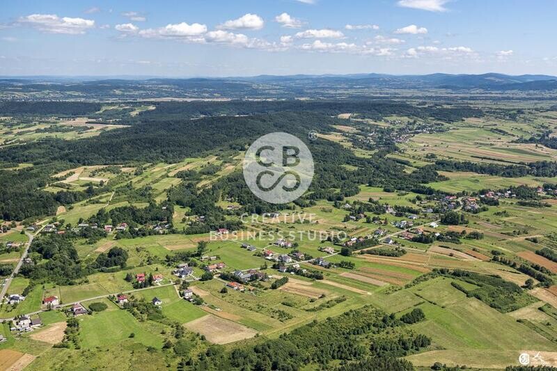 Debowiec_2020__DSC_1202