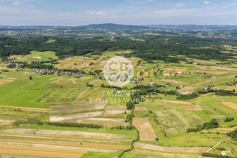 Debowiec_2020__DSC_1200