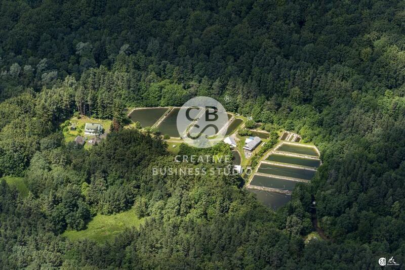 Debowiec-MPN_2020_Bothar_Krajnak_DSC_1211