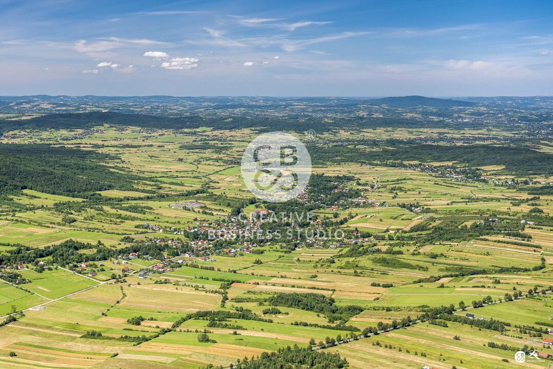 Debowiec_2020__DSC_1169